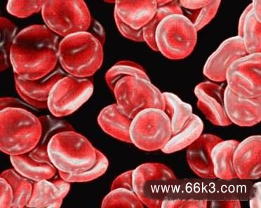 溶血性贫血怎么办-祖传特效溶血性贫血偏方